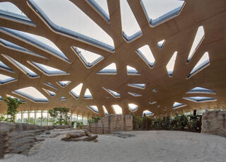 Elefantenpark, Zoo Zürich, Fischer Architekten AG